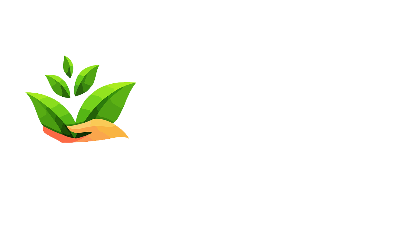 Afrik Traditional Herbs